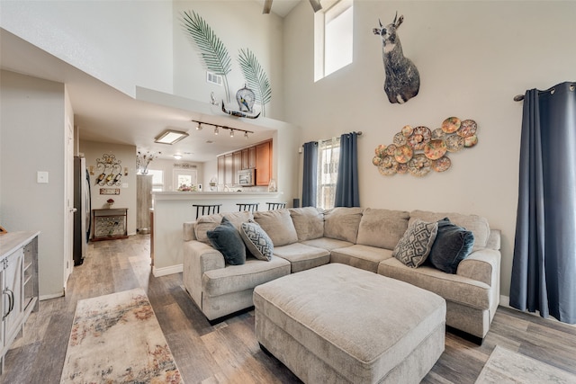 living room featuring hardwood / wood-style floors, a healthy amount of sunlight, and a towering ceiling