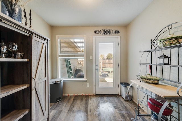 entryway featuring dark hardwood / wood-style floors