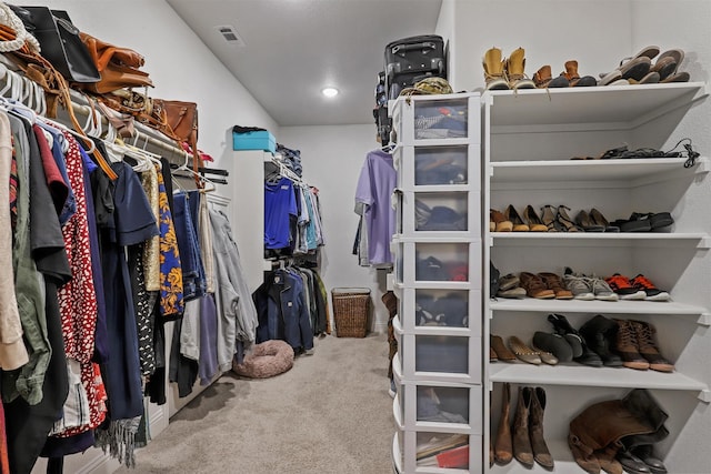 spacious closet with light colored carpet