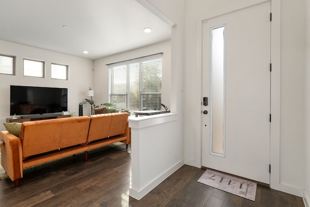 foyer with dark wood-type flooring