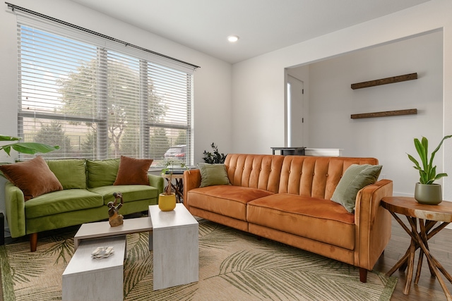 living room with light wood-type flooring