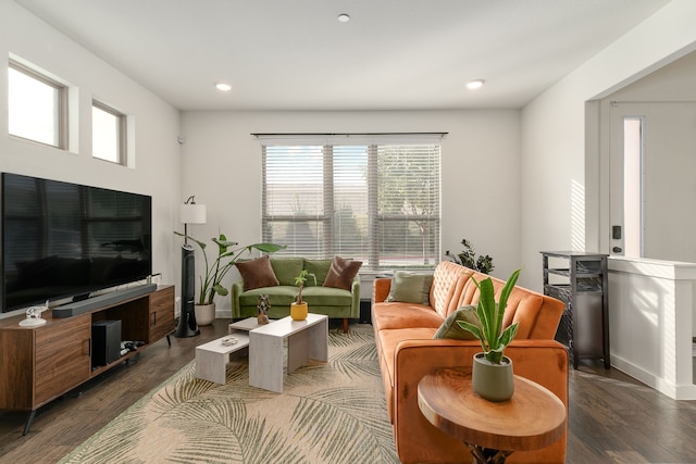 living room with dark hardwood / wood-style floors