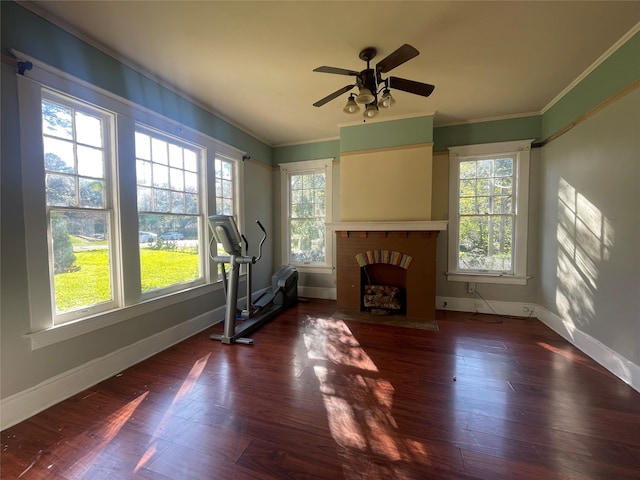 exercise area with plenty of natural light, dark hardwood / wood-style flooring, and a fireplace