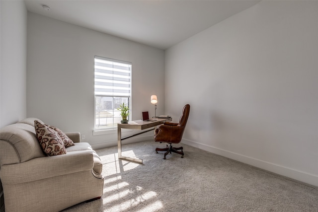 home office with carpet