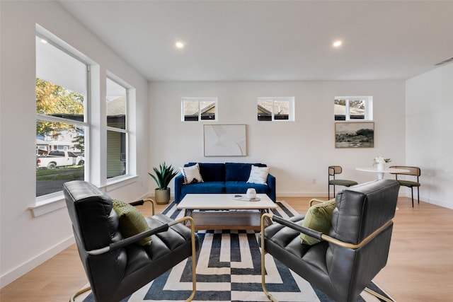 living room featuring light hardwood / wood-style flooring