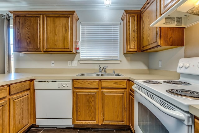 kitchen featuring range hood, a healthy amount of sunlight, white appliances, and sink