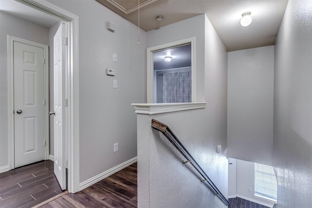 staircase with hardwood / wood-style floors