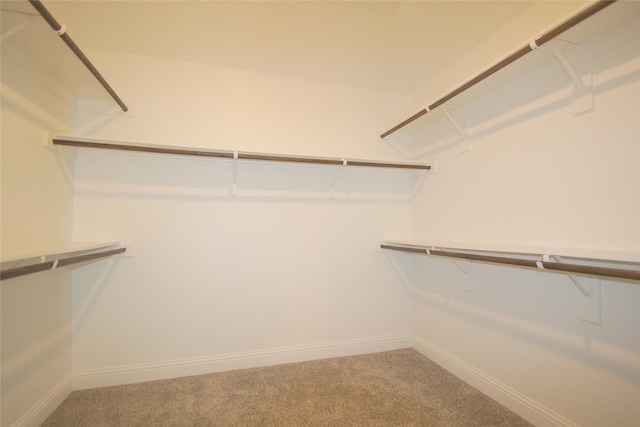 spacious closet with carpet