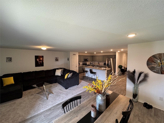 living room with a textured ceiling and light hardwood / wood-style floors