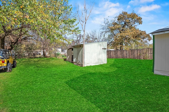 view of yard with a storage shed