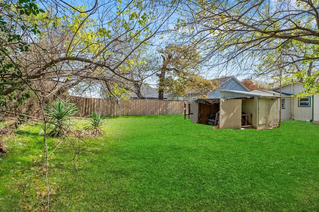 view of yard featuring a shed