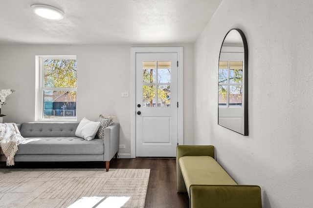 entrance foyer featuring a wealth of natural light, hardwood / wood-style floors, and a textured ceiling