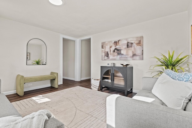 living room featuring dark wood-type flooring