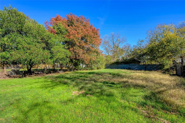 view of yard