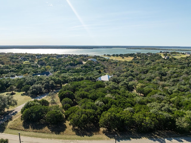 41052 Flagstone Cir, Whitney, TX 76692