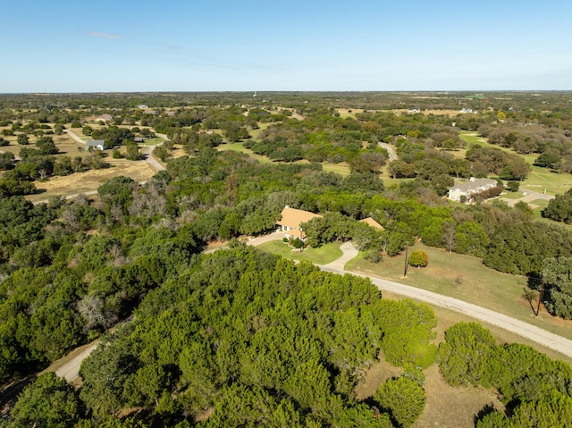 41052 Flagstone Cir, Whitney, TX 76692