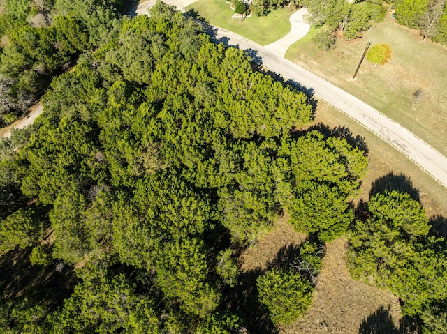 41052 Flagstone Cir, Whitney, TX 76692