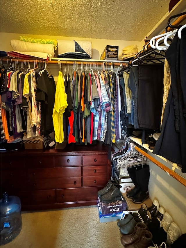 spacious closet with carpet