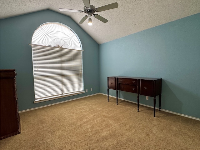 miscellaneous room featuring a textured ceiling, light carpet, and vaulted ceiling