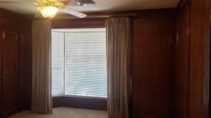 room details with ceiling fan and carpet floors