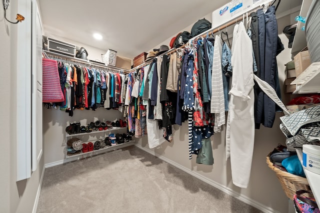 spacious closet featuring carpet