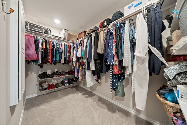 walk in closet with light carpet