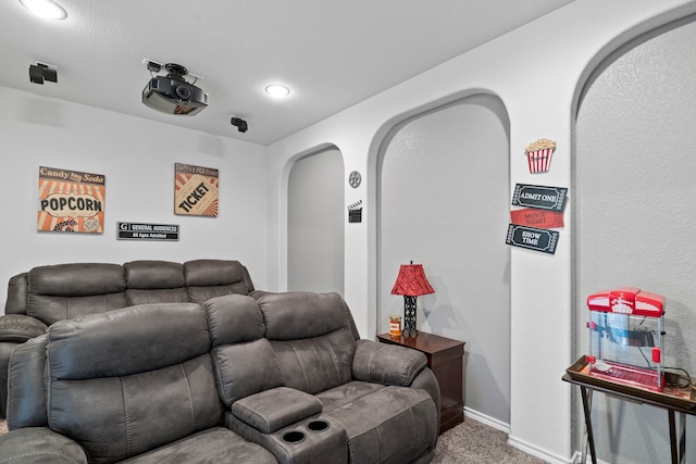 view of carpeted home theater