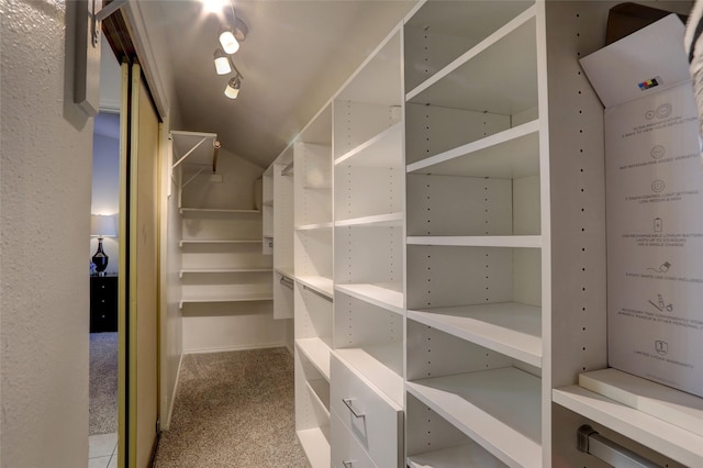 spacious closet featuring carpet flooring