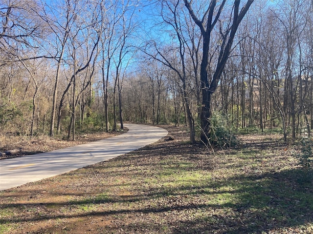 view of road