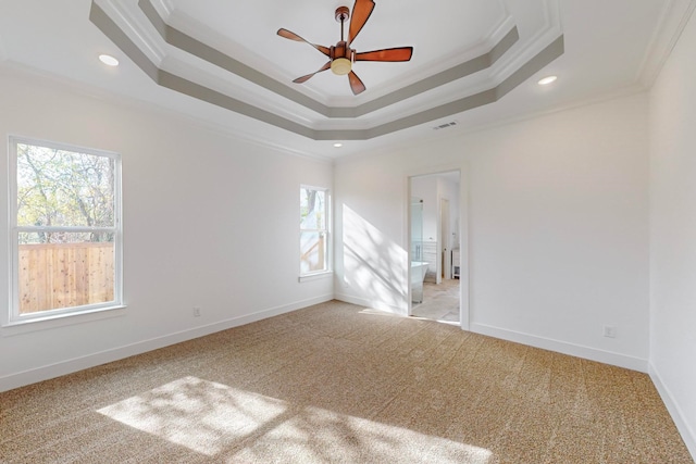 carpeted spare room featuring a raised ceiling, ceiling fan, and ornamental molding