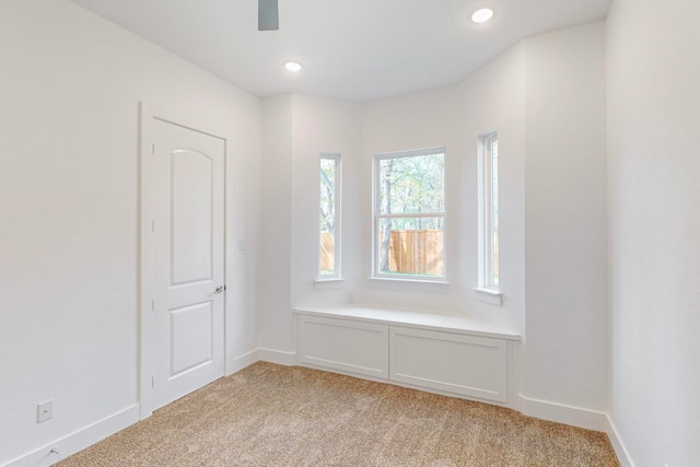 spare room with light colored carpet