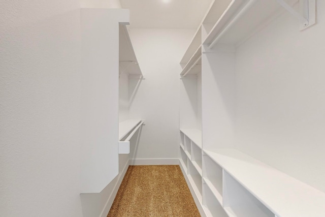 walk in closet with light carpet