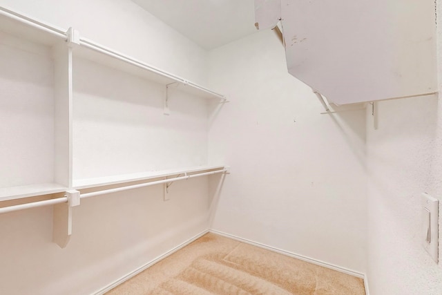 spacious closet featuring light colored carpet