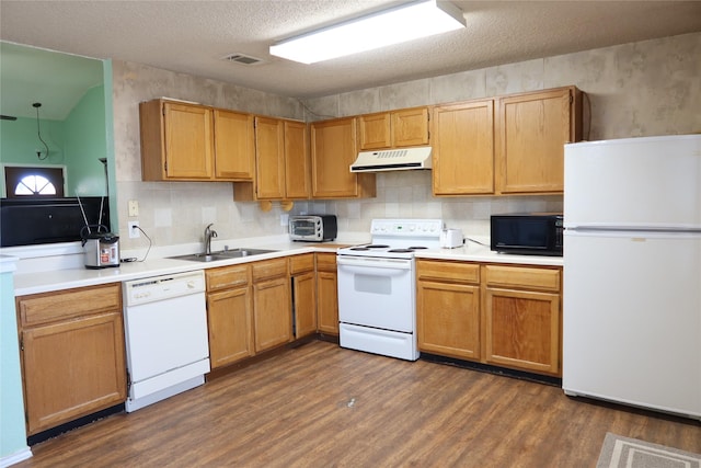 kitchen featuring a textured ceiling, white appliances, dark hardwood / wood-style floors, and sink