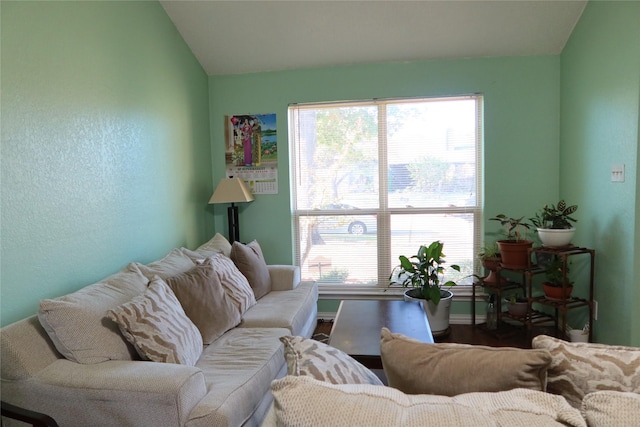 living room with wood-type flooring and lofted ceiling