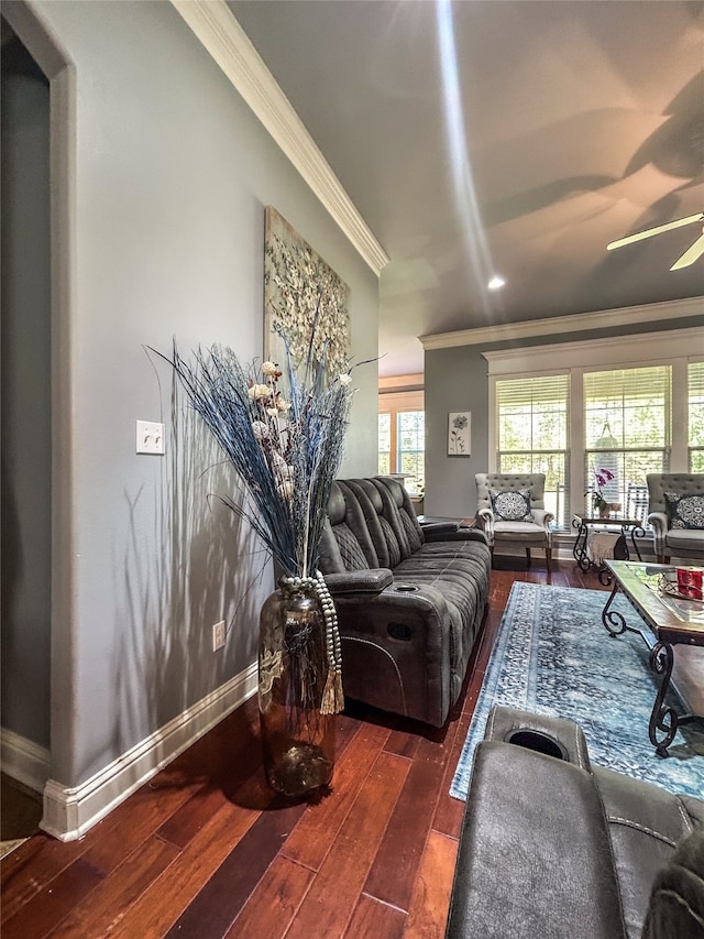 living room featuring dark hardwood / wood-style floors, ceiling fan, and crown molding