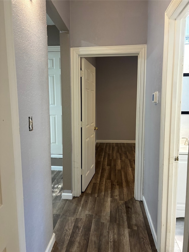 corridor featuring dark wood-type flooring