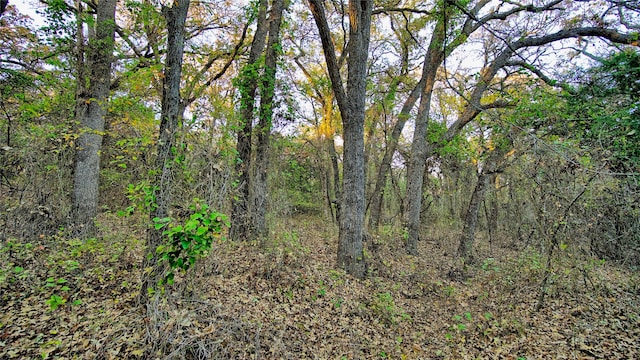 Listing photo 2 for TBD Highway 59 N, Bowie TX 76230