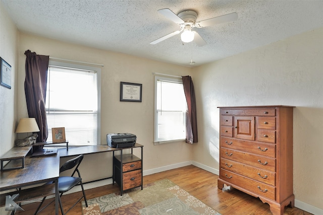 office area with a wealth of natural light, light hardwood / wood-style floors, and a textured ceiling