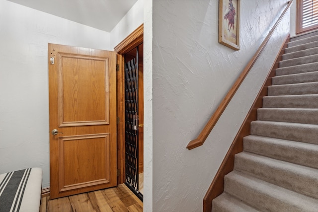 staircase with wood-type flooring