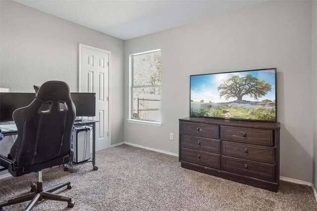 office with light carpet