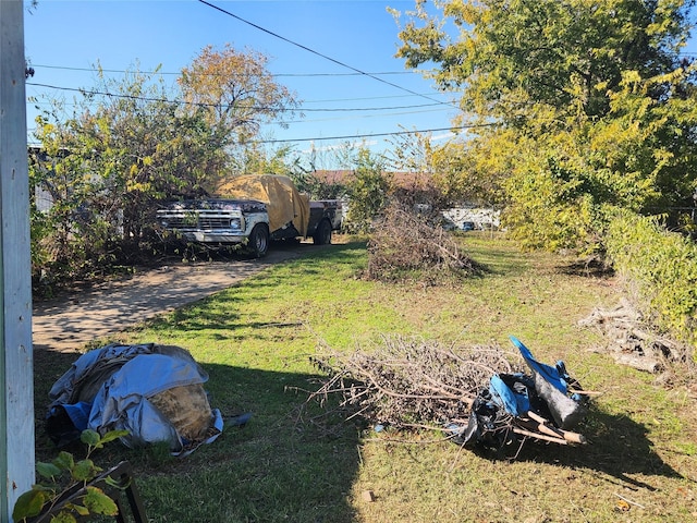 view of yard