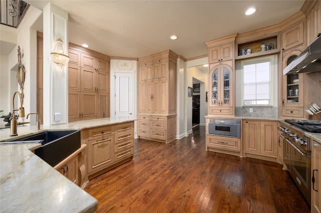 kitchen featuring appliances with stainless steel finishes, dark hardwood / wood-style flooring, light stone counters, sink, and light brown cabinets