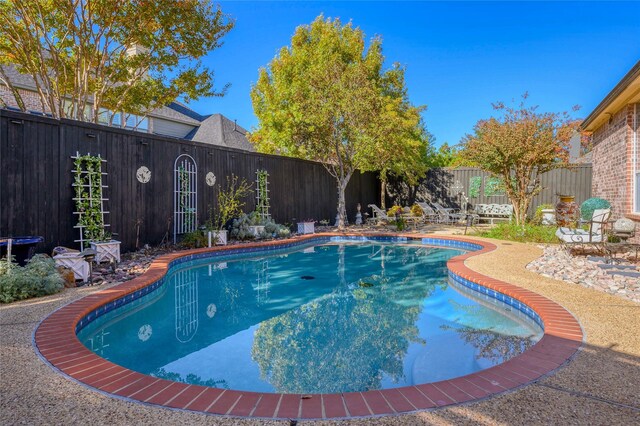 view of swimming pool