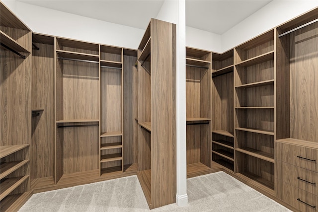 spare room with a raised ceiling, ceiling fan, and light wood-type flooring