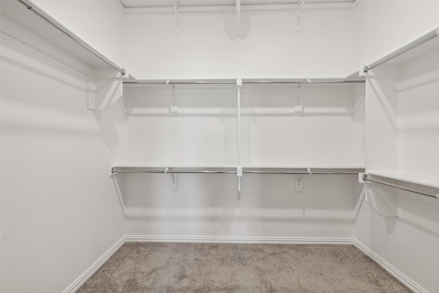 spacious closet featuring light carpet