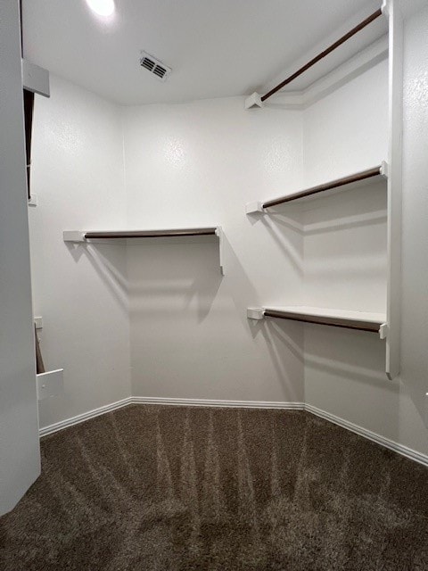 spacious closet featuring carpet