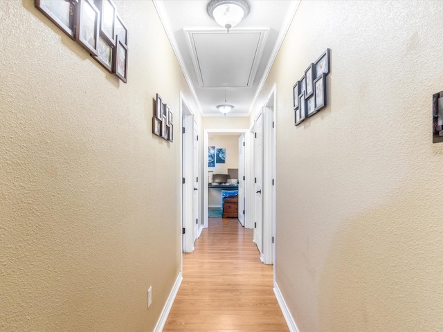 hallway with crown molding and hardwood / wood-style floors