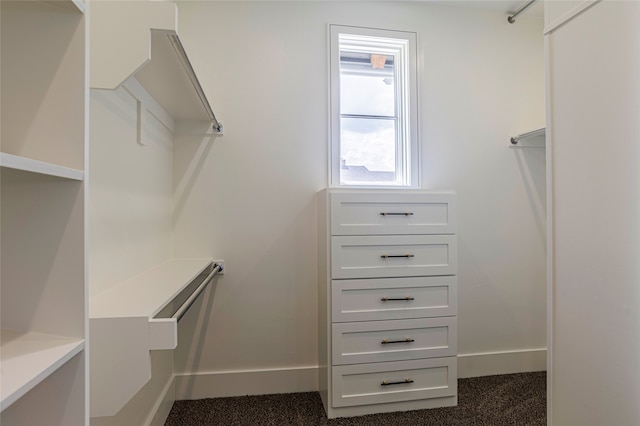 spacious closet with dark carpet