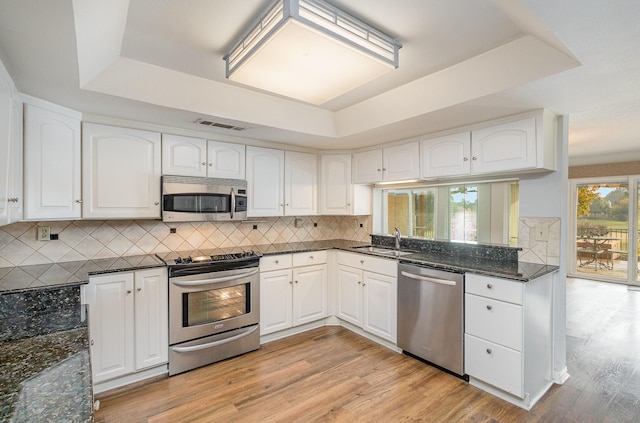 kitchen with sink, stainless steel appliances, white cabinetry, and a raised ceiling